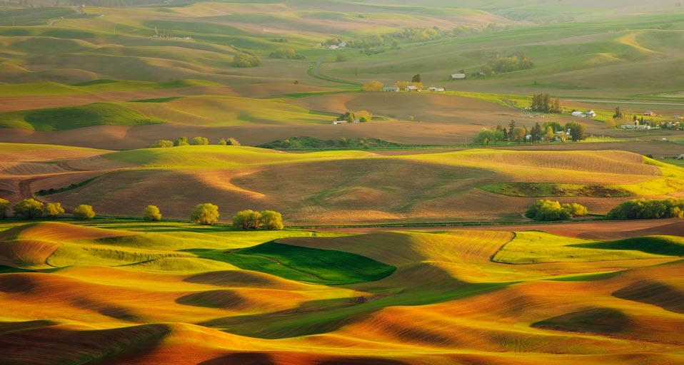 ｢パルースの丘｣アメリカ, ワシントン州 (© Yan Li) &copy; (Bing Japan)