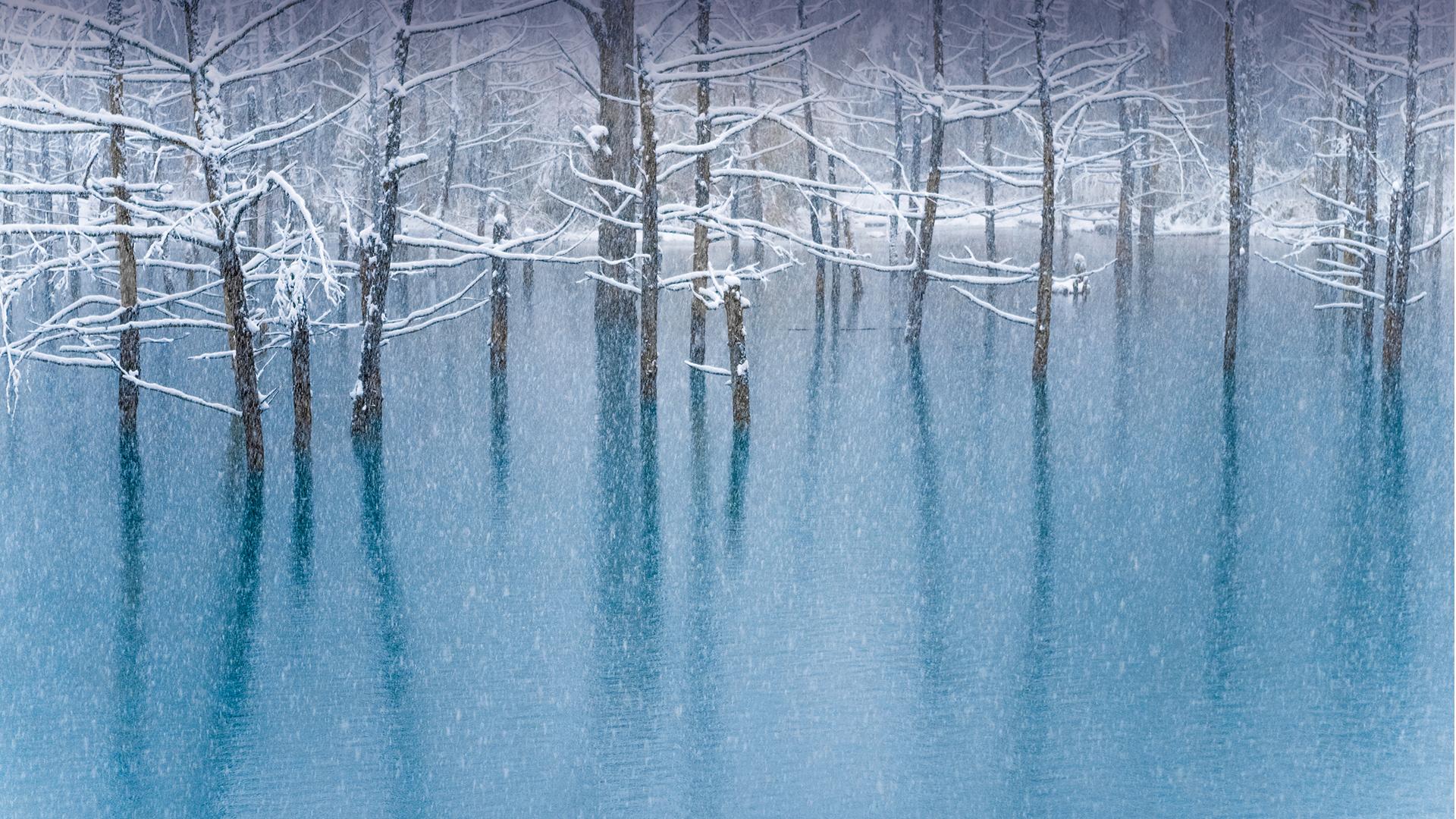 青い池, 北海道 (© Haruna/Getty Images)(Bing Japan)