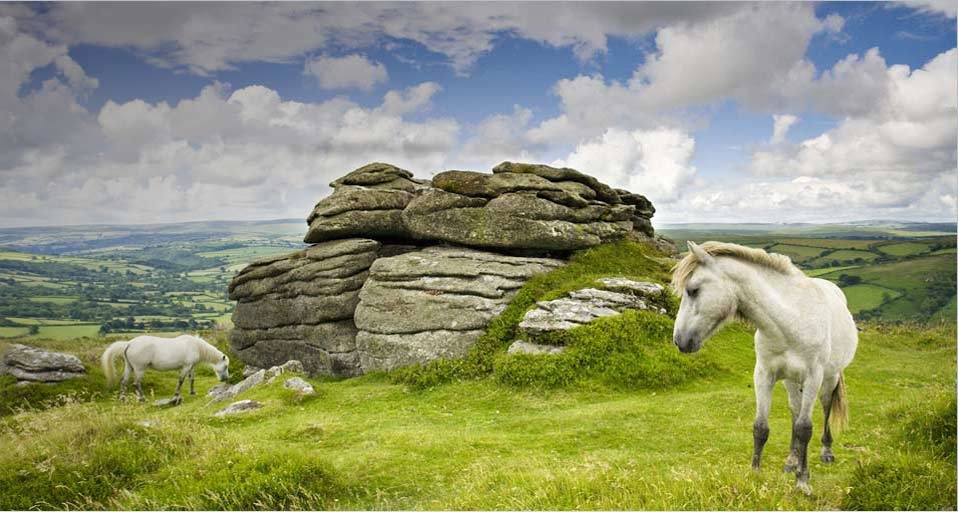 Ponies grazing at Chinkwell Tor - Adam Burton/Photolibrary &copy; (Bing United Kingdom)