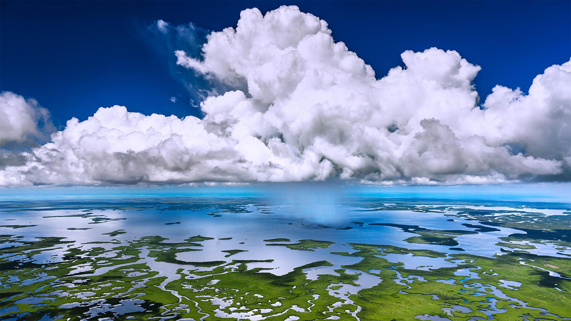 大沼泽地国家公园鸟瞰图 (© Tetra Images/Getty Images)(Bing China)