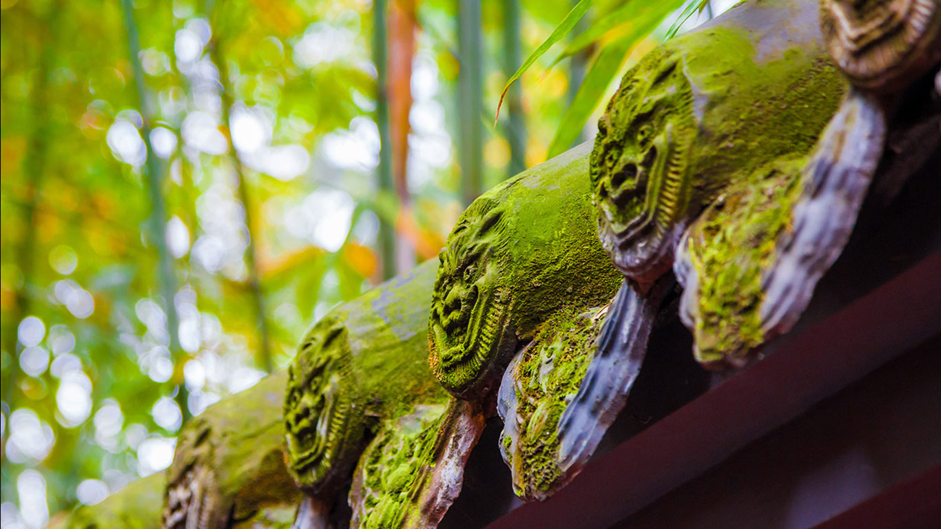 【今日立夏】武侯祠内的红墙绿竹林，中国成都 (© Eastimages/Getty Images)(Bing China)
