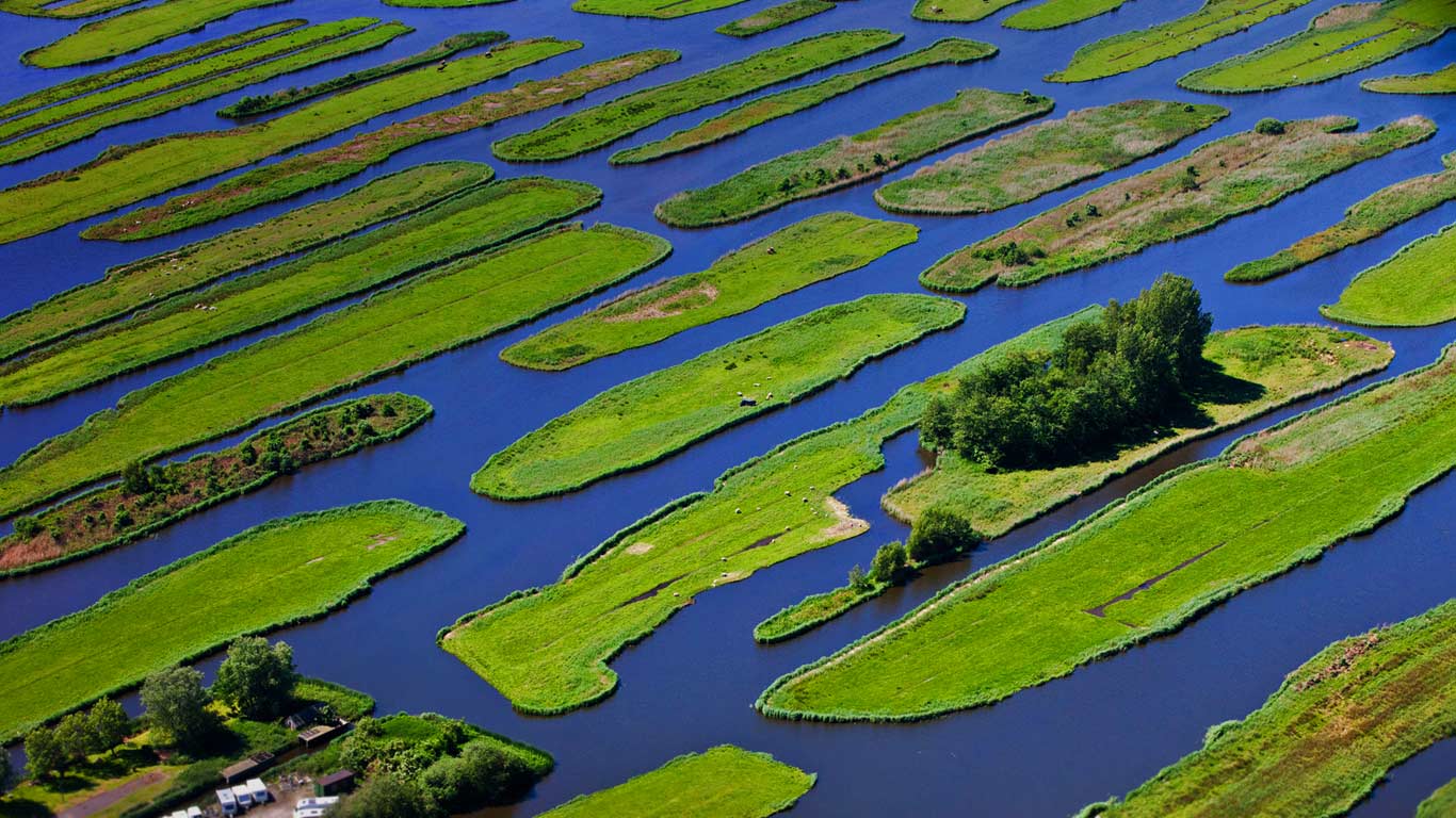 The polder landscape near Jisp, Netherlands (© Frans Lemmens/Alamy)(Bing United Kingdom)