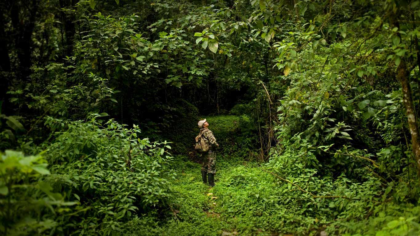 Park ranger Ismael Galvez in El Triunfo Biosphere Reserve in Mexico for World Ranger Day (© Chico Sanchez/Aurora Photos)(Bing United Kingdom)