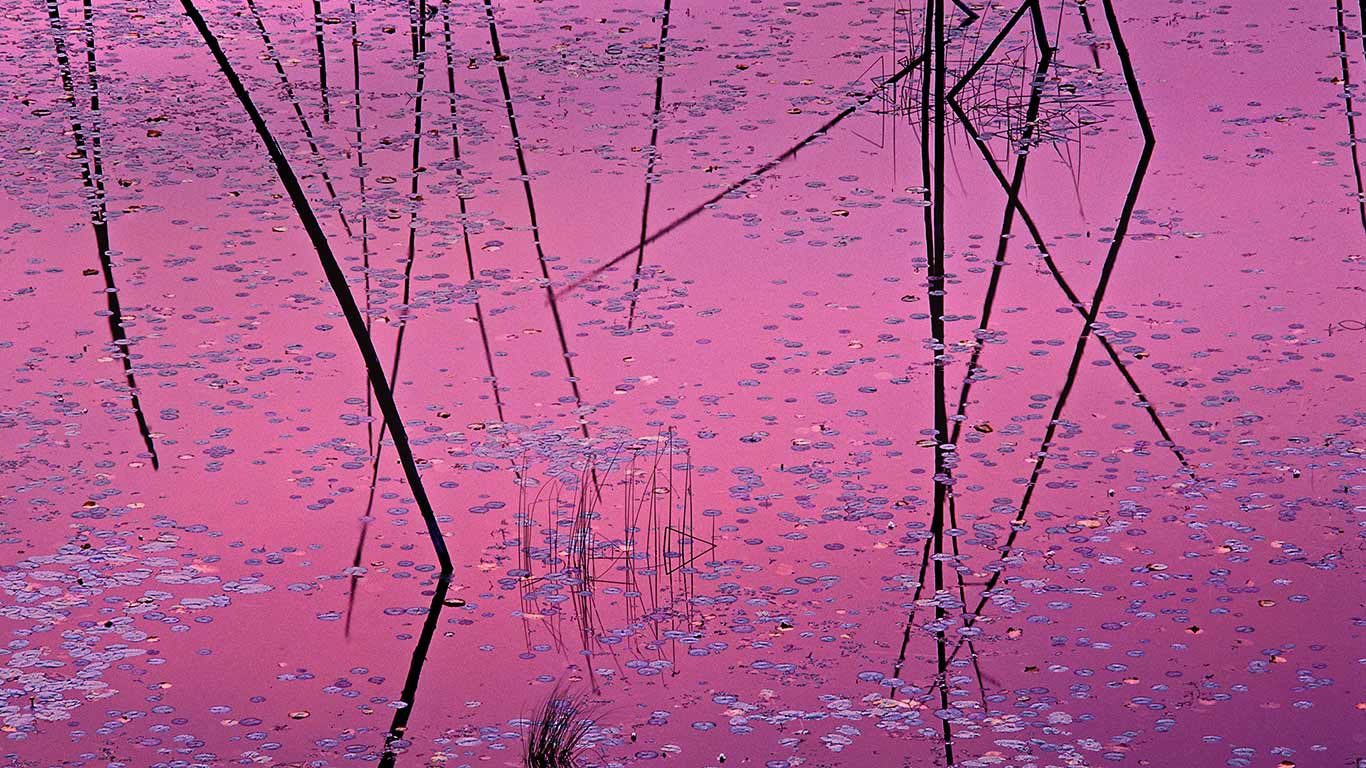 Sunset near Ely, Minnesota (© Jim Brandenburg/Minden Pictures)(Bing United Kingdom)