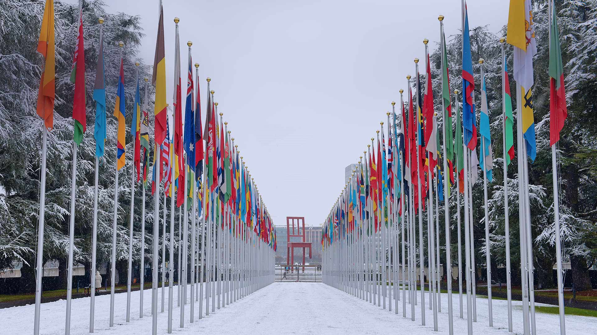 Flags outside the UN