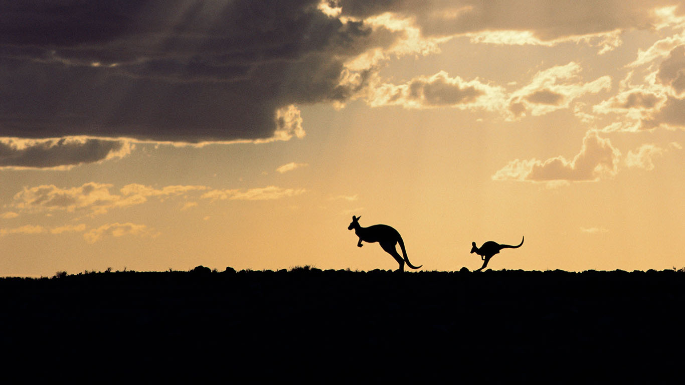 Silhouette of red kangaroos in Sturt National Park, New South Wales (© Mitsuaki Iwago/Minden Pictures)(Bing Australia)