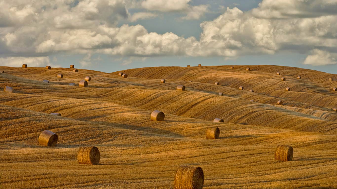 Hay bales in Tuscany, Italy (© Chris Ryan/plainpicture)(Bing United Kingdom)