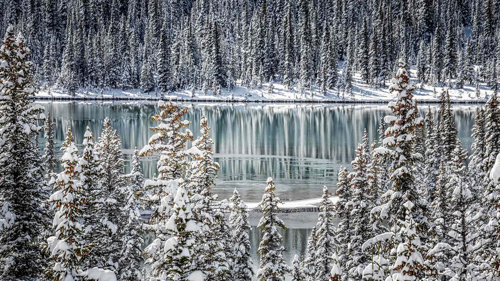 A frozen lake in Banff National Park (© RuslanKaln/Getty Images)(Bing Canada)