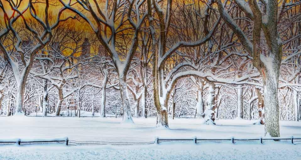 Sunrise in Central Park after a snowstorm in New York City, New York, USA (© Mitchell Funk/Getty Images) &copy; (Bing United Kingdom)