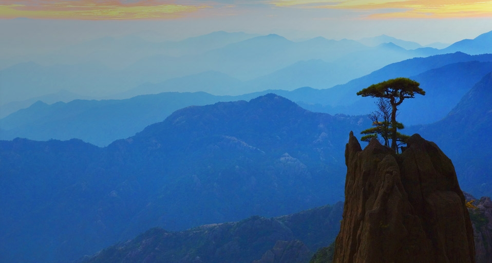 Pine Tree and Mountain Range, White Cloud Scenic Area, Huangshan, Anhui, China (© Radius Images) &copy; (Bing United Kingdom)
