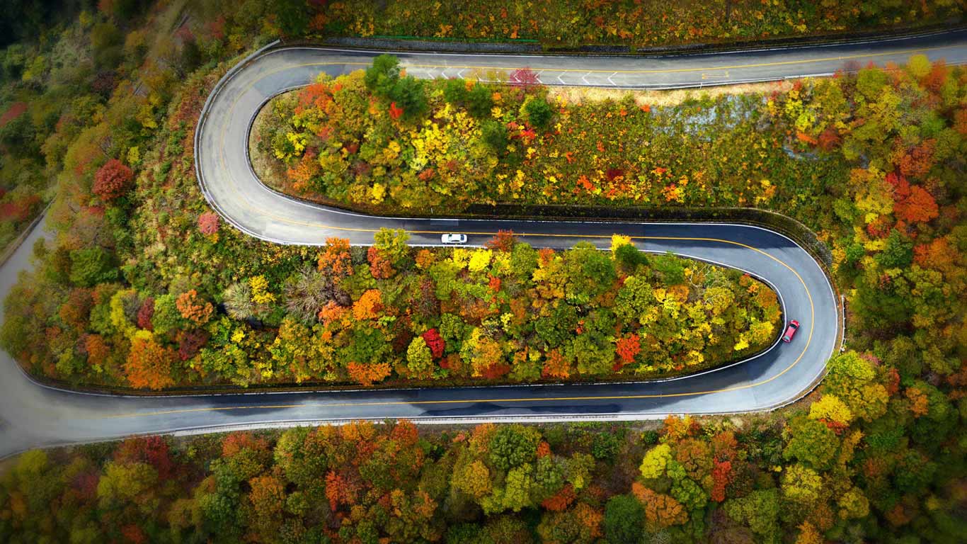 伊吹山车道上的秋景，日本滋贺县米原市 (© The Asahi Shimbun/Getty Images)(Bing China)