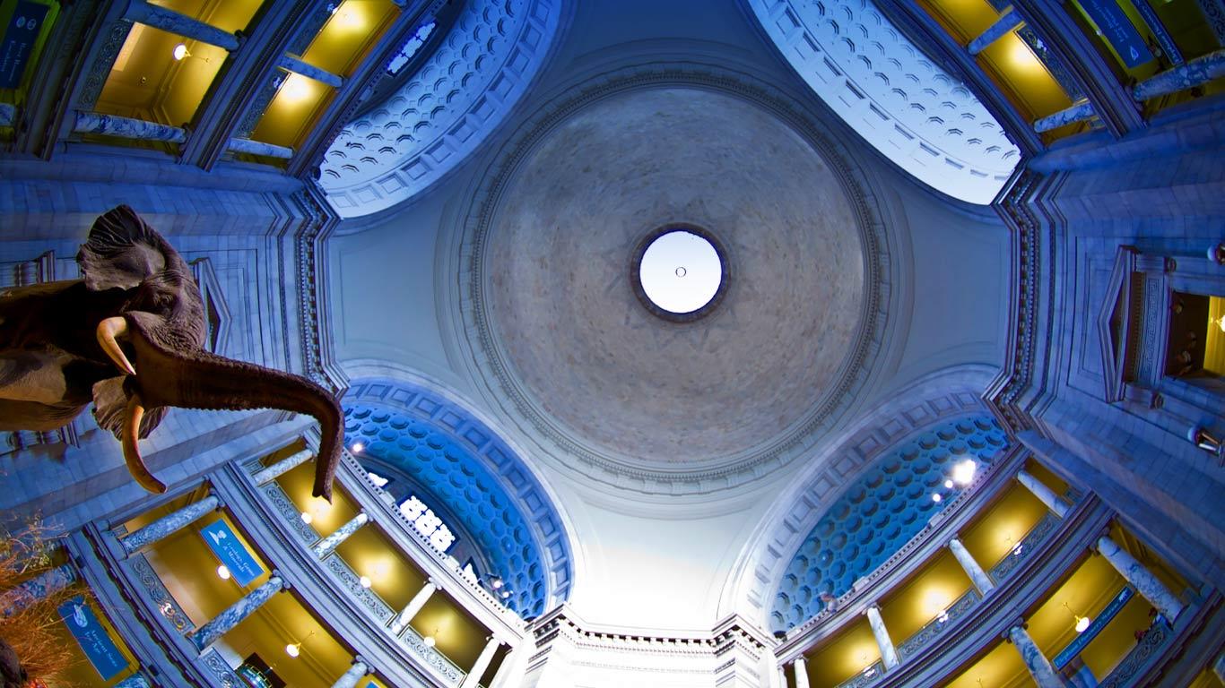 Rotunda of the Smithsonian Institution National Museum of Natural History in Washington, D.C. (© National Geographic Image Collection/Alamy)(Bing United States)