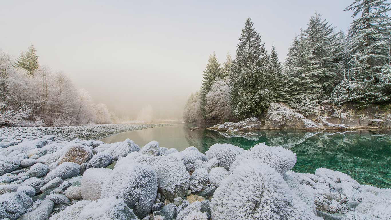 Frost on the banks of the Taylor River on the road to Tofino, B.C. (© Aurora Photos/Offset)(Bing Canada)