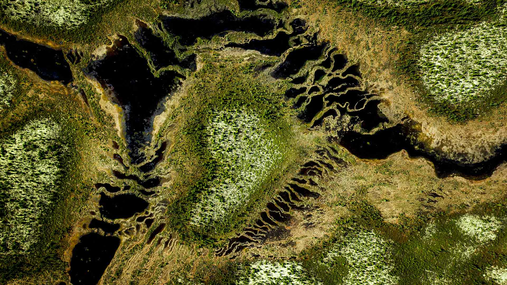 Boreal forest at Trans-Taiga Road region in Northern Quebec (© Posnov/Getty Images)(Bing Canada)