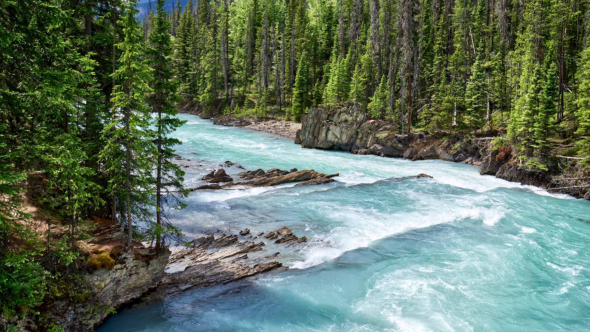 Glacial turquoise water of Kicking Horse River, Yoho National Park, B.C. (© Oleg Charykov/Getty Imgaes)(Bing Canada)