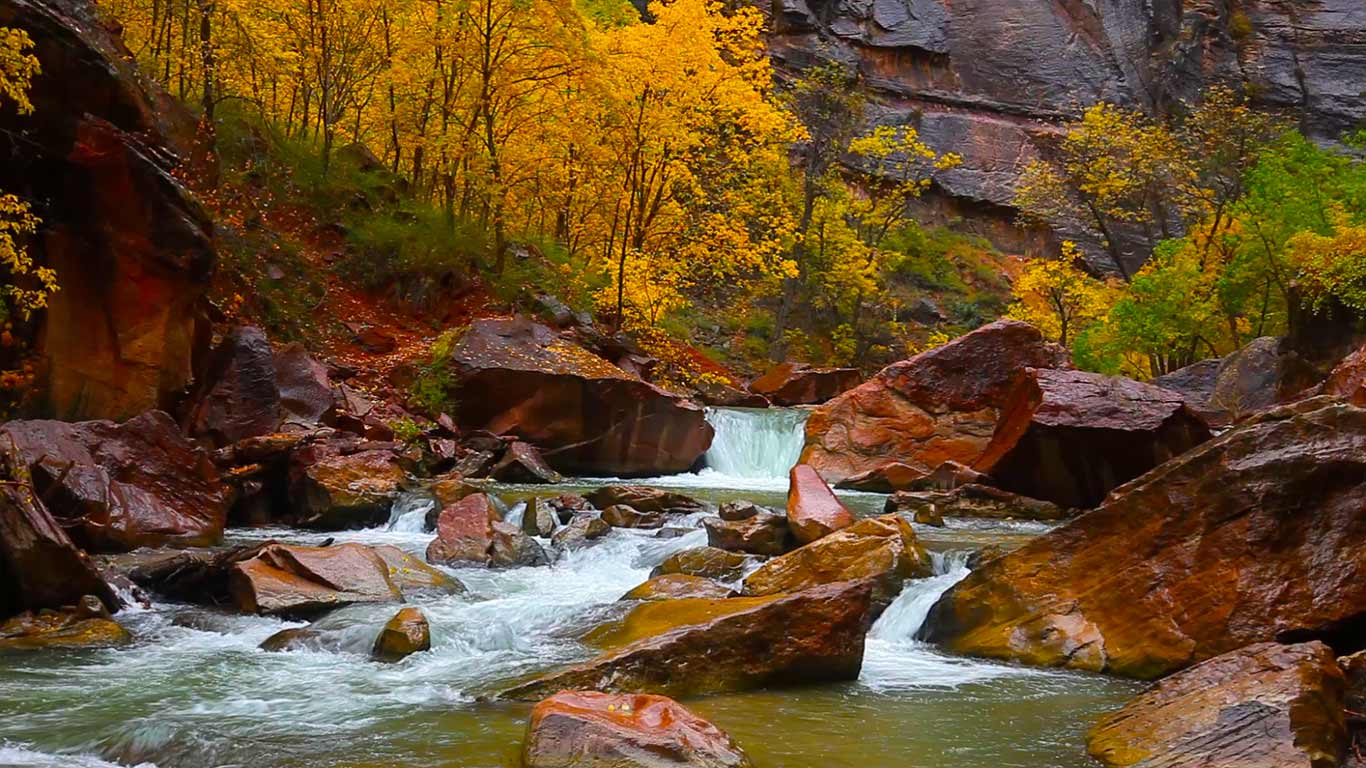 North Fork of the Virgin River, Zion Canyon, Utah (© Shutterstock)(Bing United States)