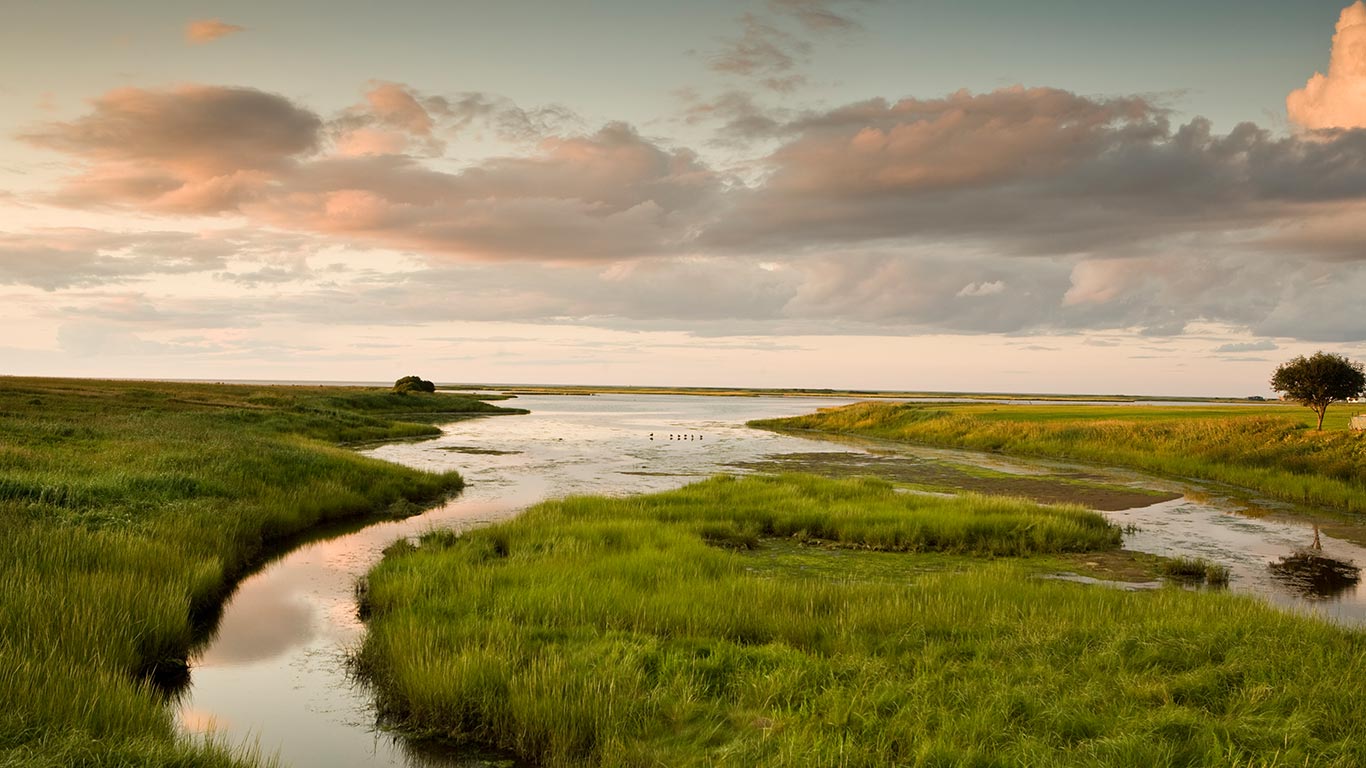 Marshland in Shediac, N.B. (© Paul Giamou/Aurora Photos)(Bing Canada)