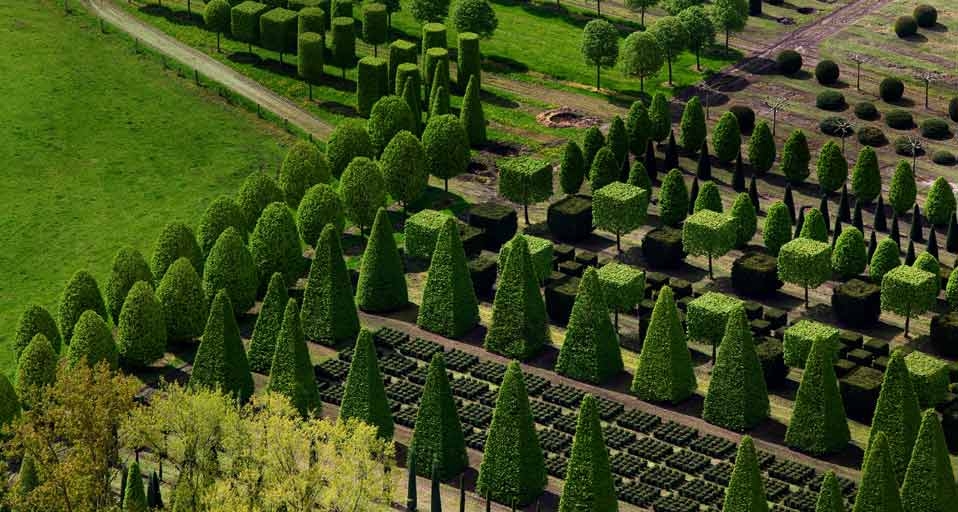 Aerial shot of a nursery garden with geometrically pruned trees near Leer, Germany (© Karl Johaentges/Getty Images) &copy; (Bing Canada)
