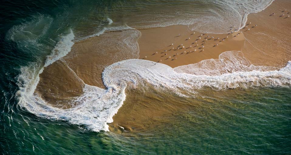 Möven auf einer Sandbank im Becken von Arcachon, Frankreich – Jean-Daniel Sudres/Corbis &copy; (Bing Germany)