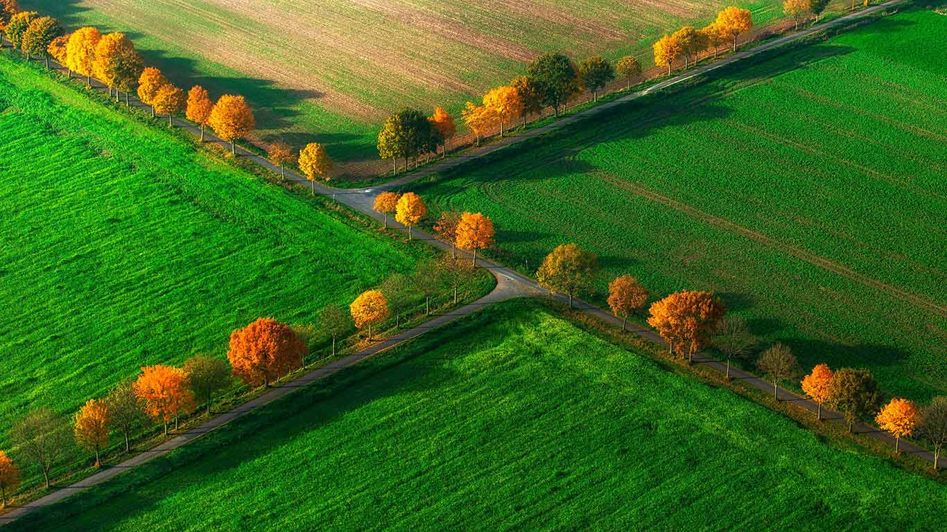 ｢ノットゥルン｣ドイツ, ノルトライン＝ヴェストファーレン州 (© Hans Blossey/age fotostock)(Bing Japan)