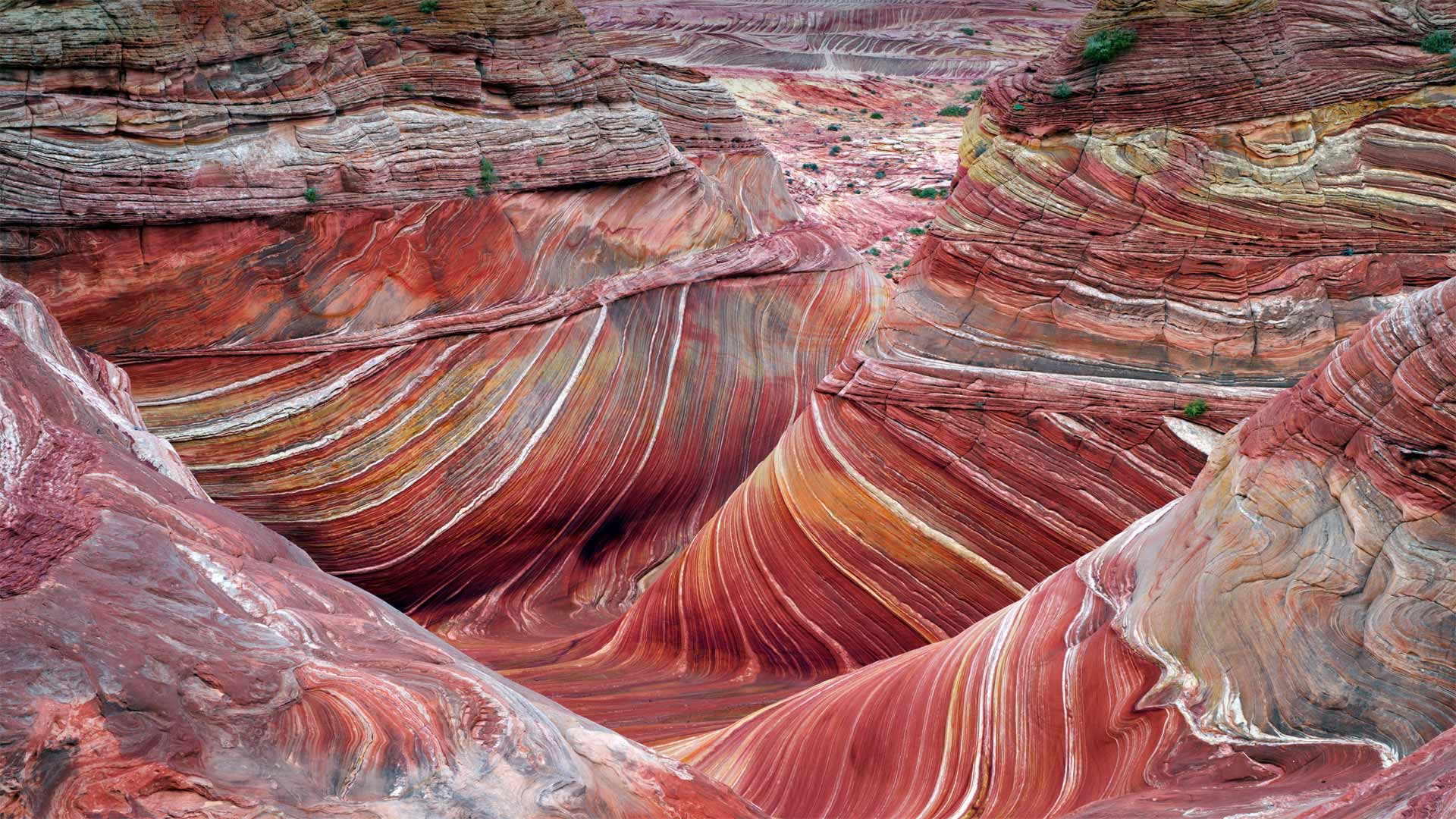 Versteinerte Sanddüne „The Wave“ in den Coyote Buttes North, Vermilion Cliffs National Monument, Arizona, USA (© Dennis Frates/Alamy)(Bing Deutschland)