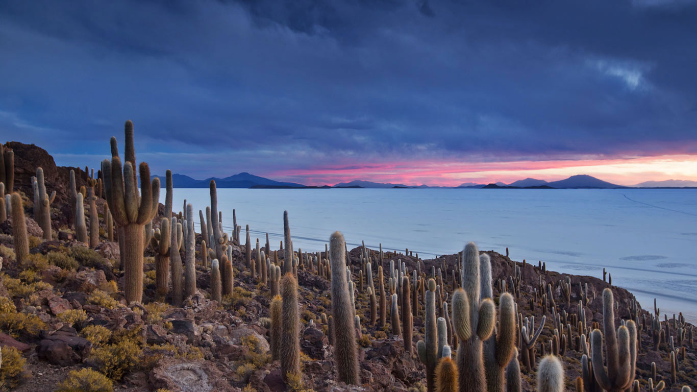 Isla del Pescado on the Salar de Uyuni in Bolivia (© Alex Saberi/Getty Images)(Bing United Kingdom)
