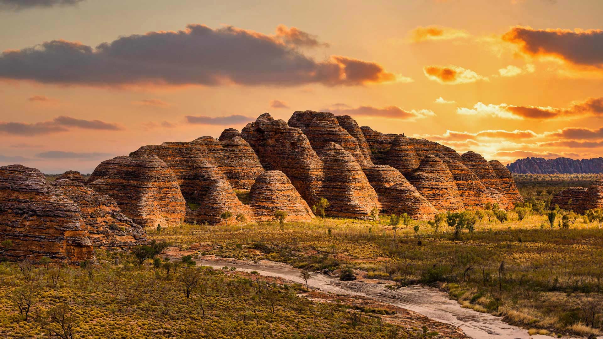 Bungle Bungle Range in Purnululu National Park, Australia (© Francesco Riccardo Iacomino/Getty Images)(Bing United States)