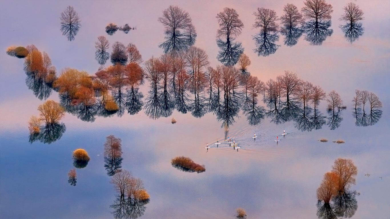 ｢プラニア平原の洪水｣スロヴェニア, プラニア (© Ales Komovec/Rex Features)(Bing Japan)