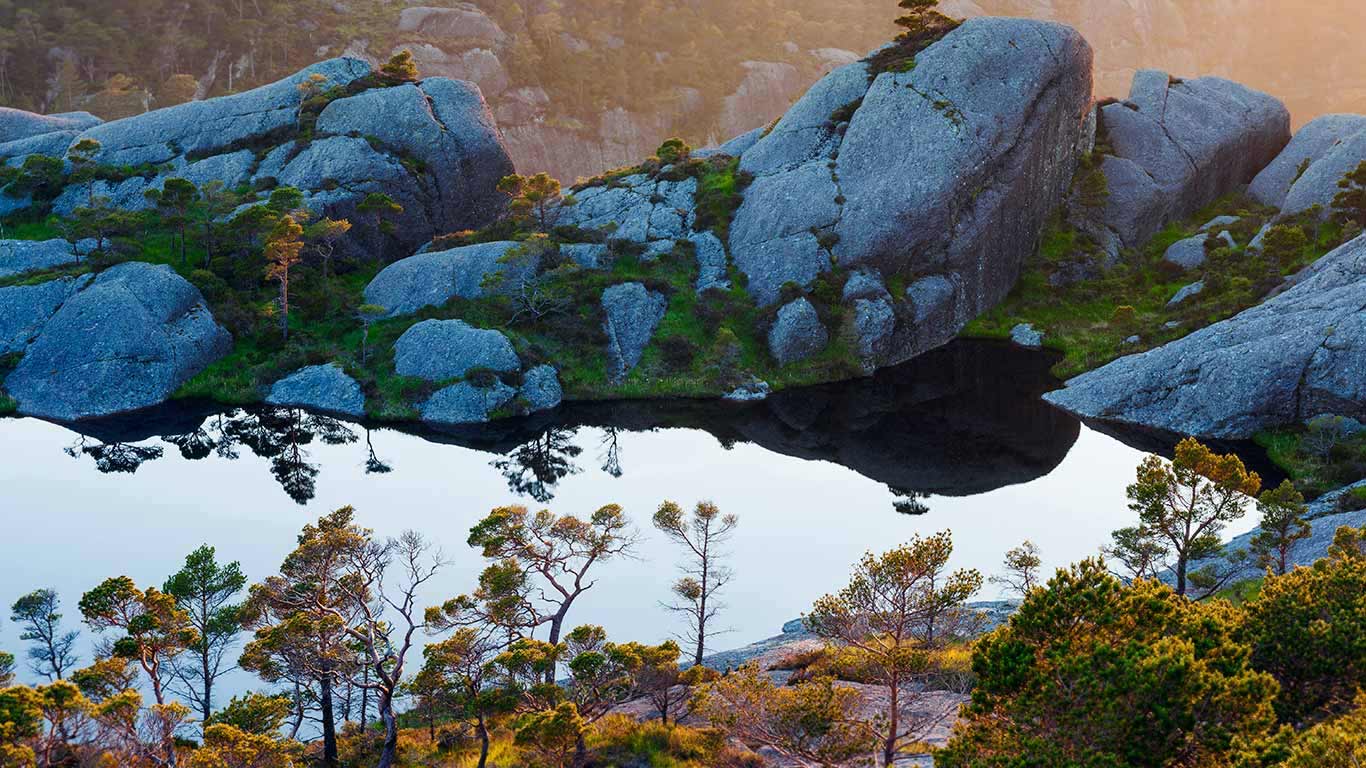 Scots pine trees on Sula Island, Sogn og Fjordane, Norway (© Orsolya Haarberg/Minden Pictures)(Bing Canada)