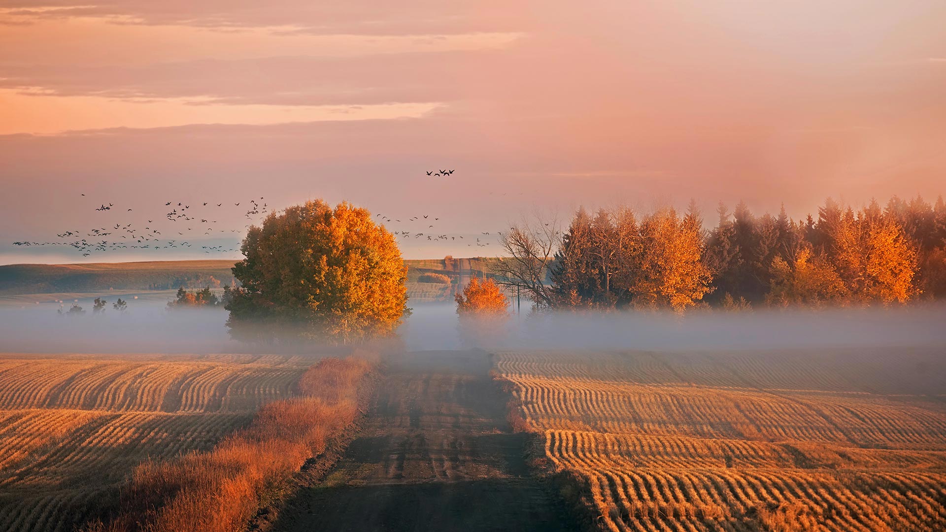 Sunrise in Alberta, Canada (© Ambre Haller/Moment/Getty Images)(Bing United States)
