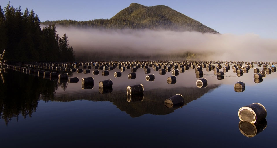 Oyster farm on Lemmens Inlet in Clayoquot Sound, Vancouver Island, British Columbia, Canada -- Chris Cheadle/All Canada Photos/age fotostock &copy; (Bing United Kingdom)