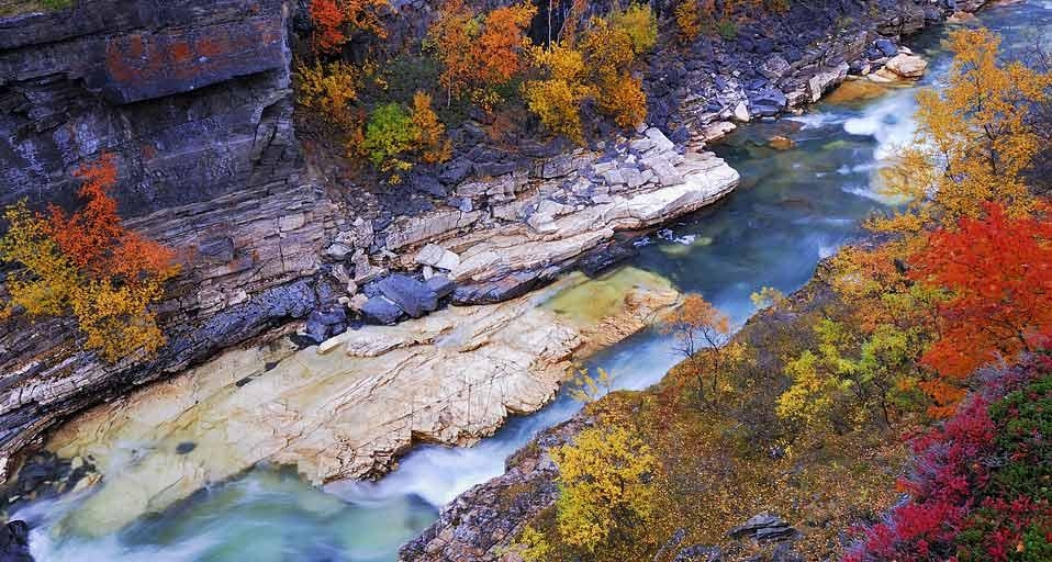 Autumn scenery along the Abiskojåkka River in Abisko National Park, Norrbotten, Lapland, Sweden (© McPHOTO/Blickwinkel/age fotostock) &copy; (Bing United Kingdom)