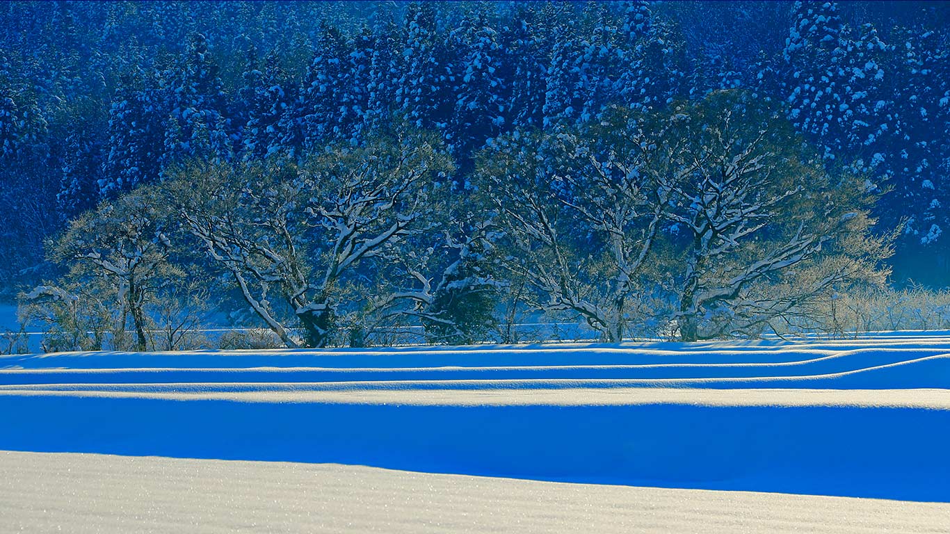 ｢五泉市の雪景色｣新潟 (© JTB Photo/UIG via Getty Images)(Bing Japan)
