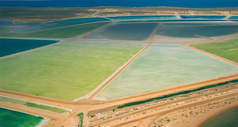 Saltpans at Shark Bay in west area of Australia (© Thomas Schmitt/Riser/Getty Images) &copy; (Bing Australia)