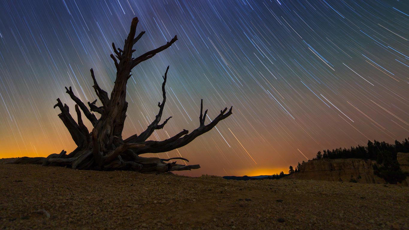 Star trails and a bristlecone pine at Bryce Canyon National Park, Utah (© roycebair/RooM/Getty Images)(Bing United States)