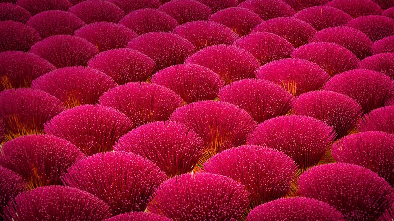 江门市新会区制香厂，中国广东省 (© Wallace Cheah/500px)(Bing China)