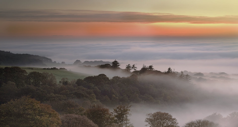 Dawn breaks on foggy morning on east of Dartmoor, Devon, England - David Clapp/Photolibrary &copy; (Bing United Kingdom)