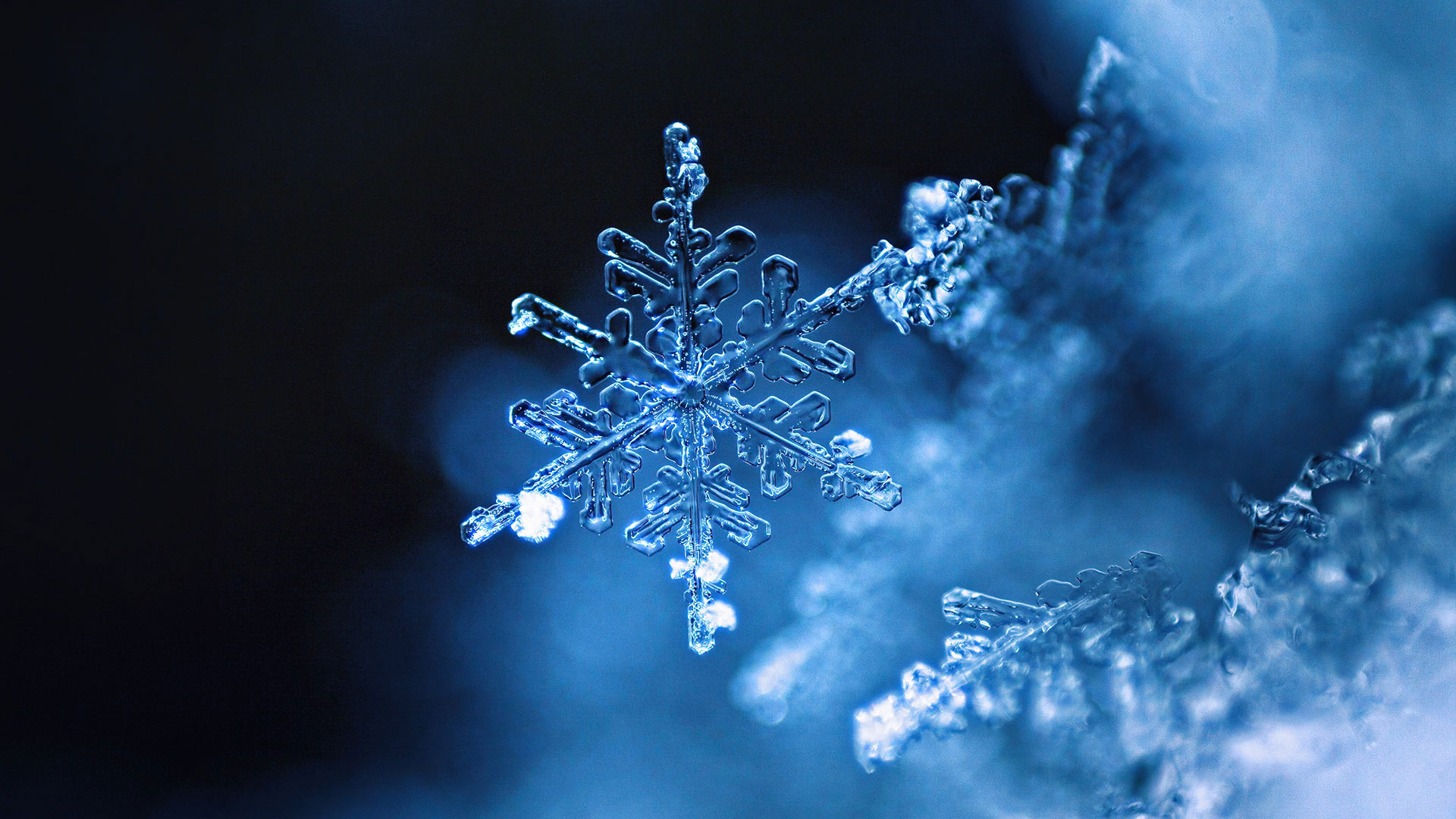 Snowflake (© TothGaborGyula/Getty Images Plus)(Bing Canada)