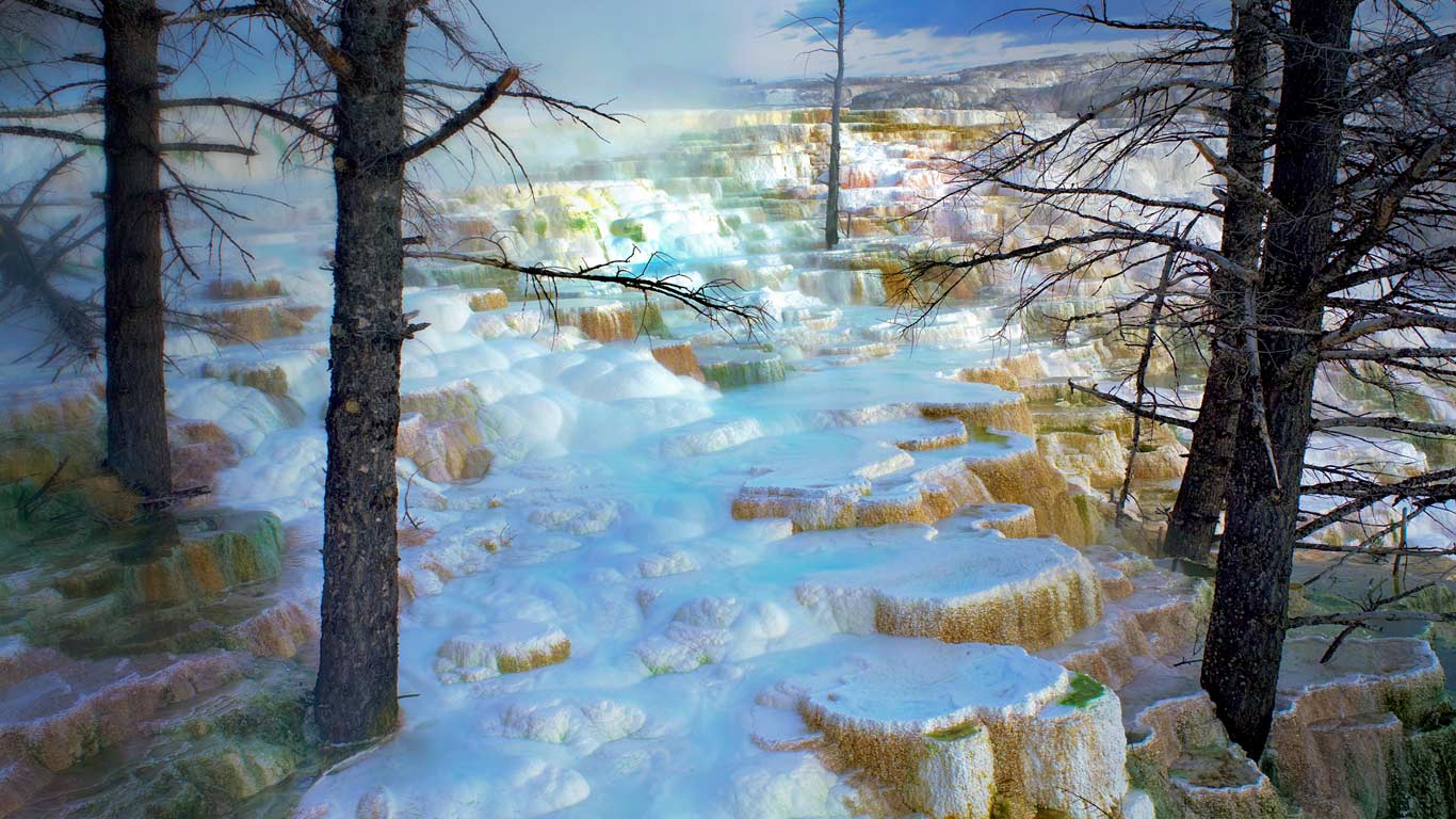 Minerva Terrace in Mammoth Hot Springs of Yellowstone National Park, Wyoming (© Tim Fitzharris/Minden Pictures)(Bing United Kingdom)