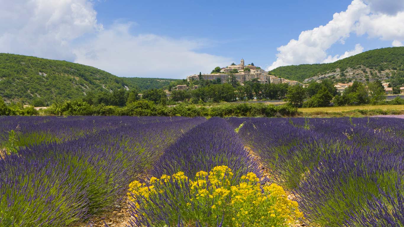 Lavender fields, Banon, France (© Roland Gerth/Corbis)(Bing United Kingdom)