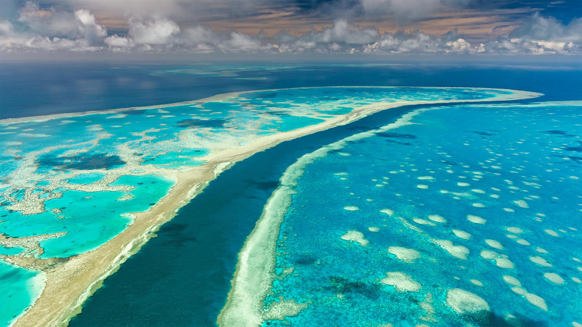 Great Barrier Reef, Queensland, Australia (© AWL Images/Danita Delimont)(Bing United Kingdom)