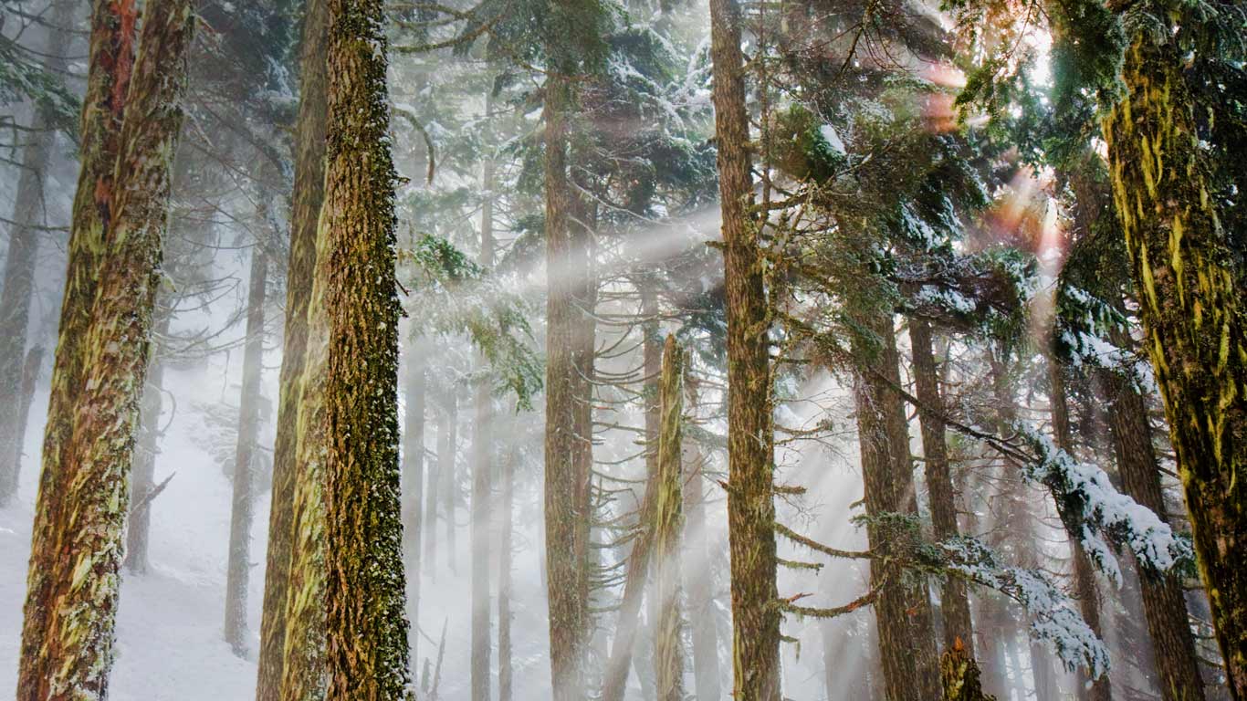 Mount Baker-Snoqualmie National Forest, Washington, USA (© Ethan Welty/Aurora Photos)(Bing United Kingdom)