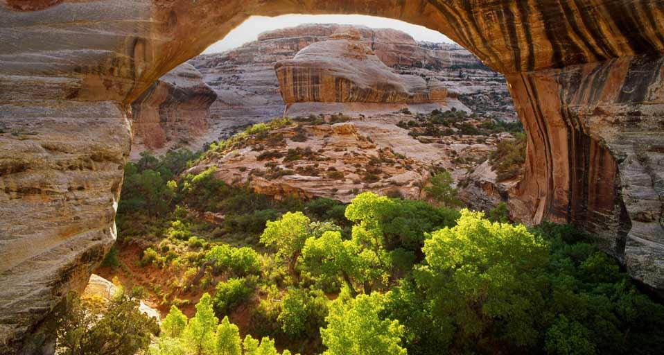 Sipapu Bridge in Natural Bridges National Monument, Utah (© George H. Huey/Superstock)(Bing United States)