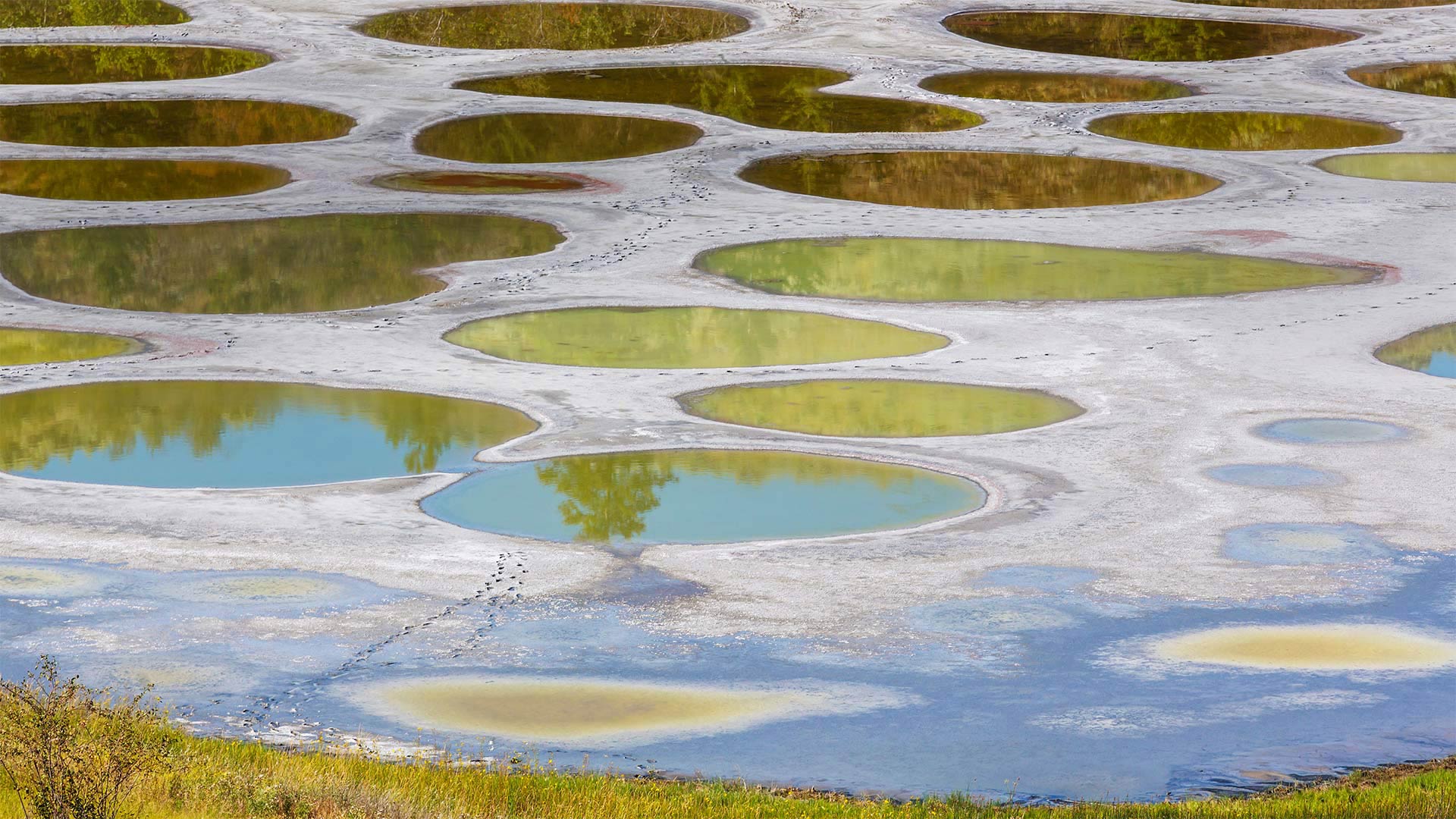Spotted Lake in the Okanagan region of British Columbia, Canada (© Galyna Andrushko/Shutterstock)(Bing United Kingdom)