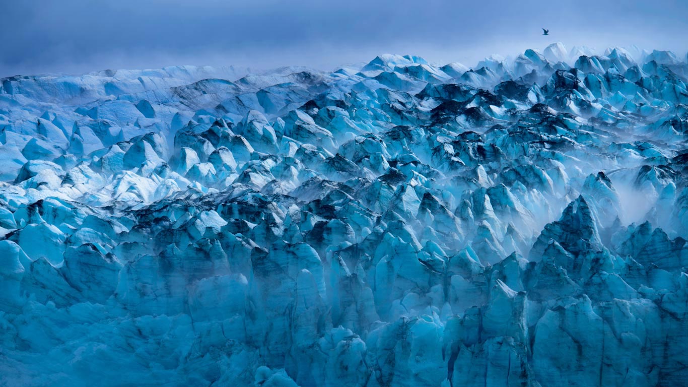 Lamplugh Glacier in Glacier Bay National Park and Preserve, Alaska (© Michael Melford/Getty Images)(Bing United Kingdom)