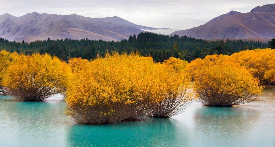 Glacier-fed lake, South Island, New Zealand (© picturegarden/Getty Images)(Bing United Kingdom)
