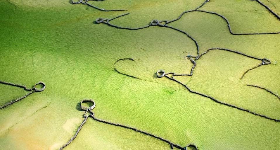 Fish traps in Kosi Bay, South Africa (© Michael Fay/Aurora Photos) &copy; (Bing United Kingdom)