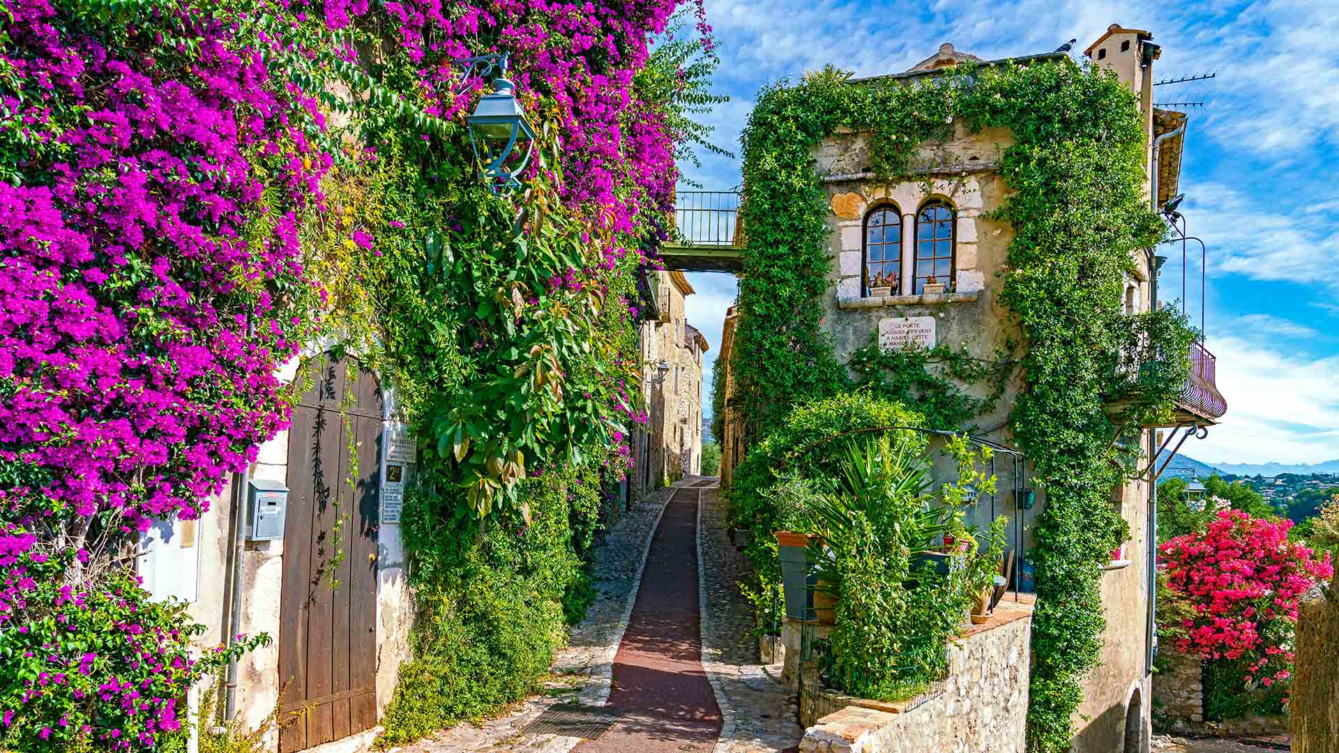 Allée fleurie à Saint-Paul-de-Vence, Alpes Maritimes, Provence-Alpes-Côte-D’azur (© Susanne Kremer/Huber/eStock Photo)(Bing France)