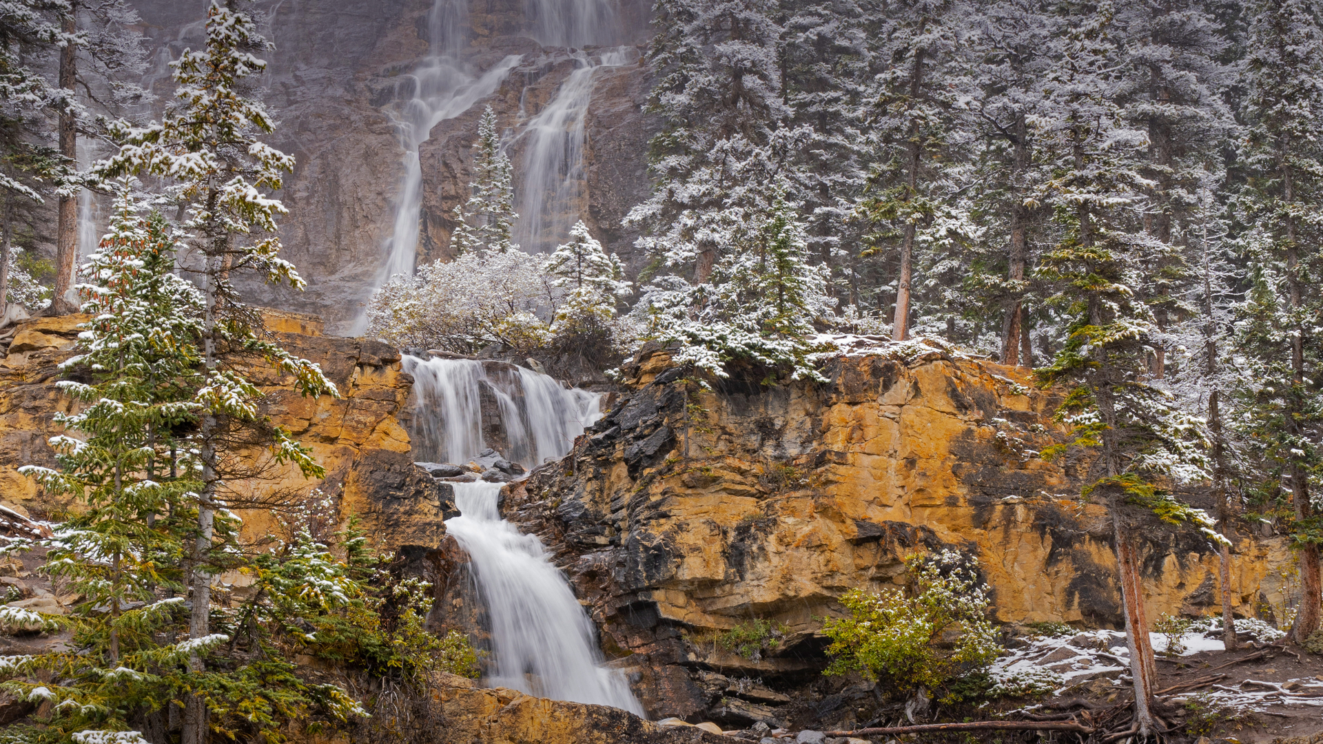 Tangle Creek Falls, Jasper National Park, Alberta, Canada (© Jeff Foott/Minden Pictures)(Bing New Zealand)