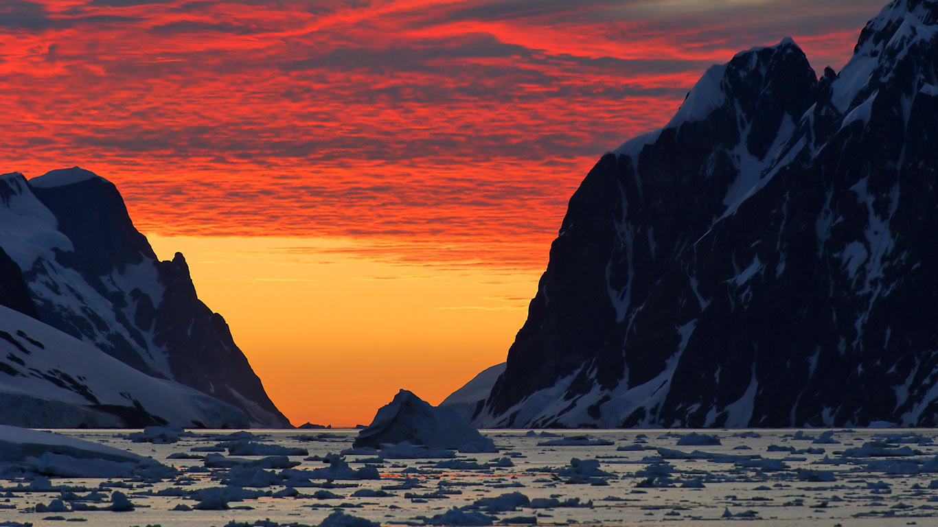 A view of our southernmost continent for Antarctica Day (© Jan Vermeer/Minden Pictures)(Bing United Kingdom)